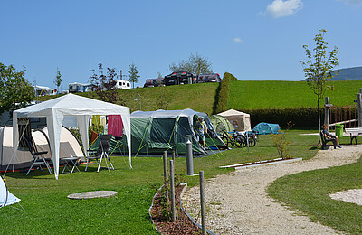 Zelte am Basic Stellplatz im Camp Mondseeland