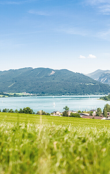 Mondsee Panorama