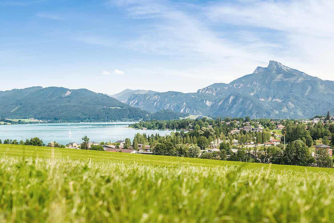Mondsee Oberösterreich Mondsee Panorama