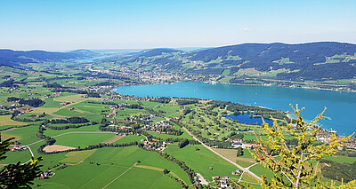 Ausblick von Drachenwand auf Mondsee und Irsee