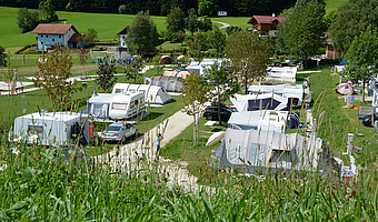 Zelte am Stellplatz im Camp Mondseeland