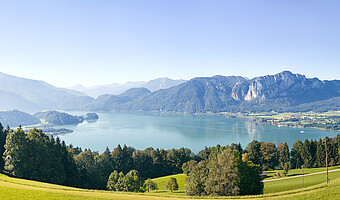 Mondsee Panorama