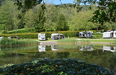 Premium Stellplätze am Teich im Camp Mondseeland