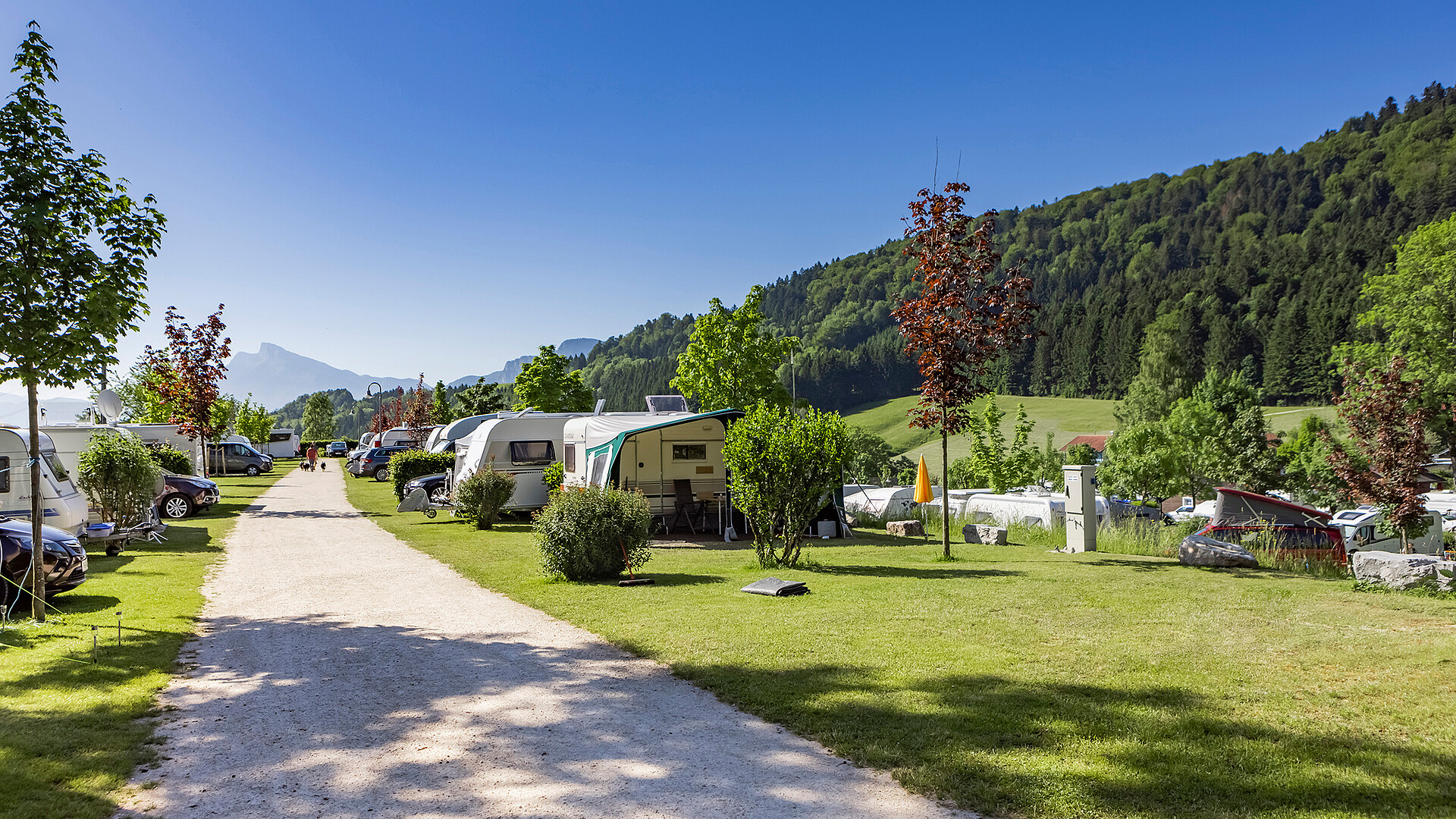 Stellplätze im Camp Mondseeland