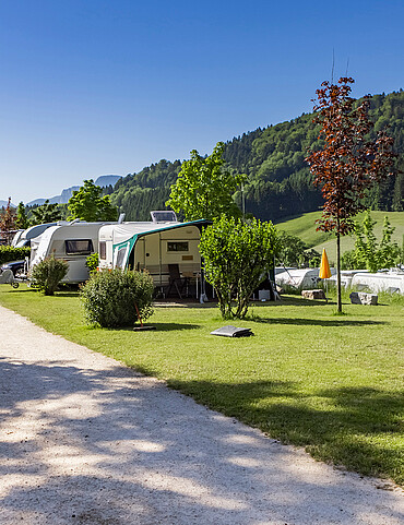 Stellplätze Stellplätze im Camp Mondseeland