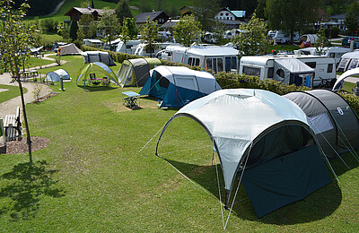 Zelte am Basic Stellplatz im Camp Mondseeland